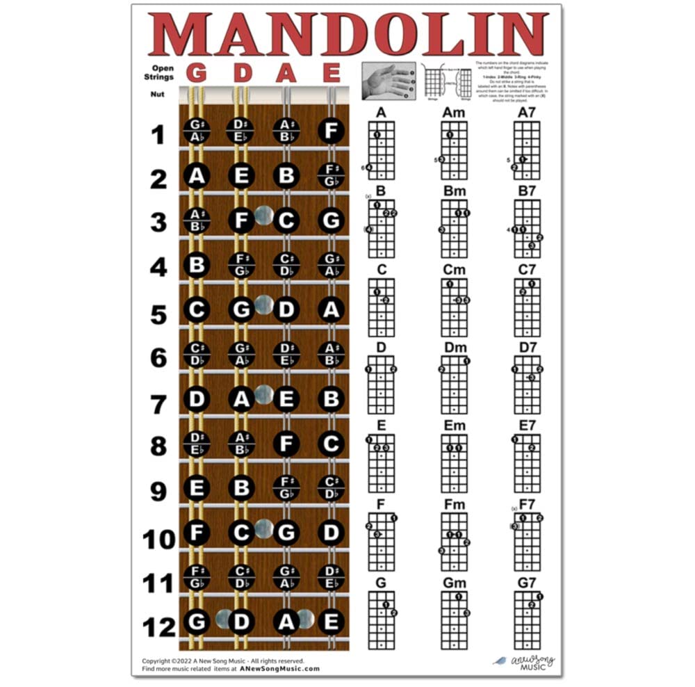 Mandolin Chord Chart Poster Laminated 11x17 V12044