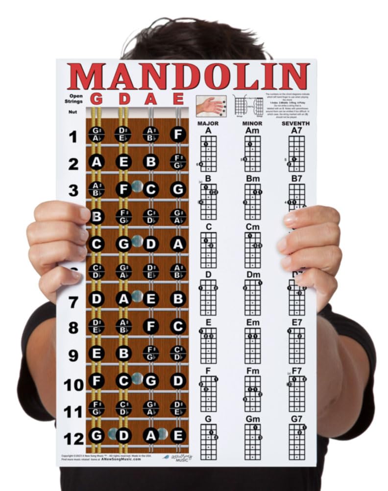 Mandolin Chord Chart Poster Laminated 11x17 V12044