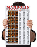 Mandolin Chord Chart Poster Laminated 11x17 V12044