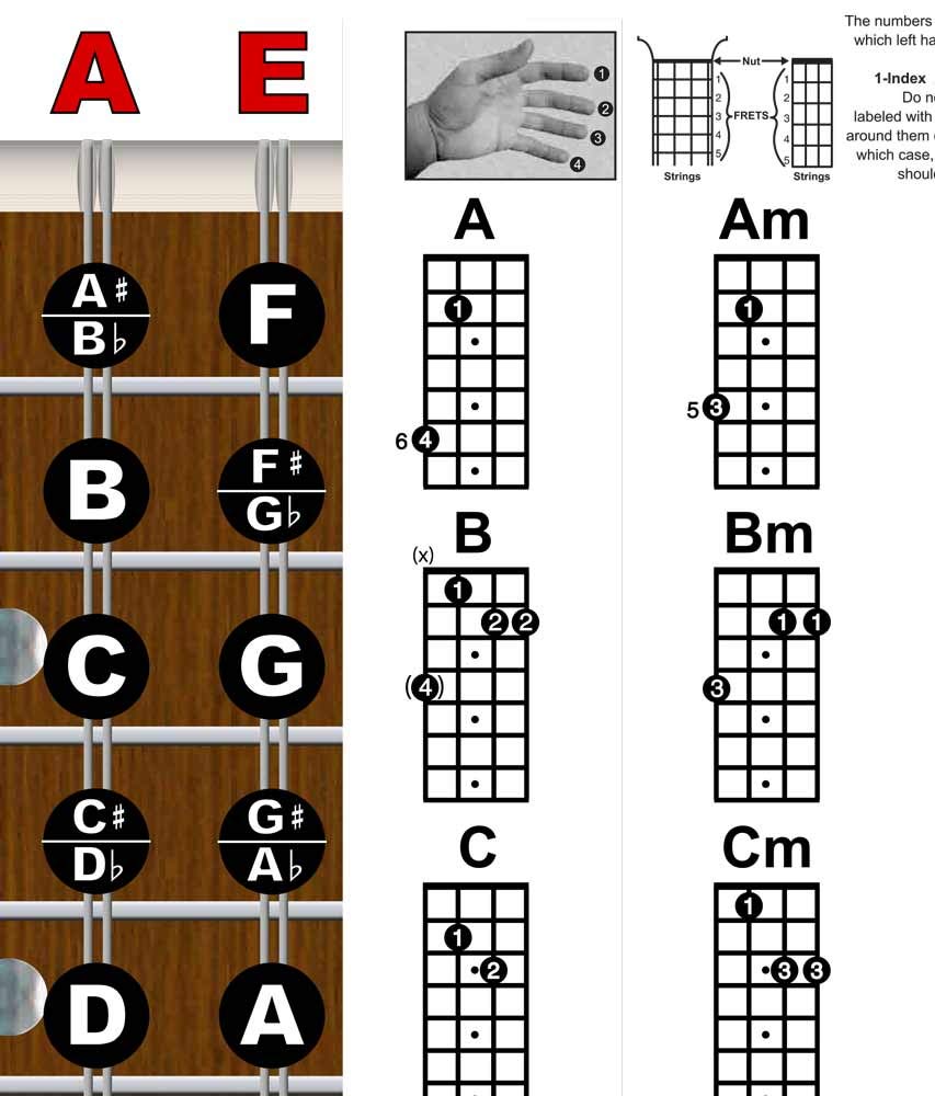 Mandolin Chord Chart Poster Laminated 11x17 V12044