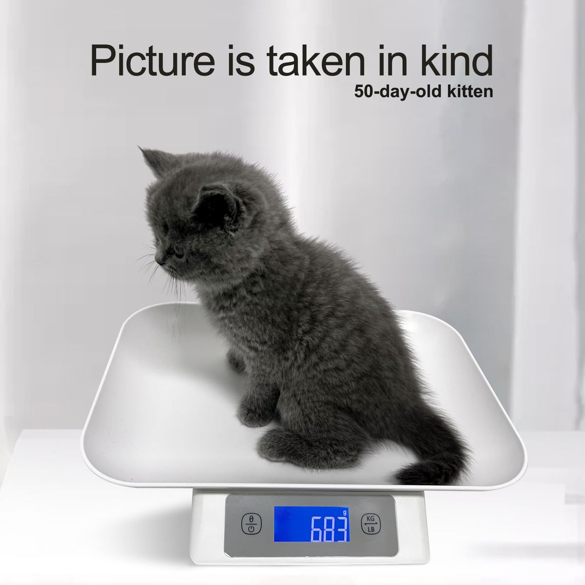 Digital Pet Scale for Small Cats and Animals Grey D802