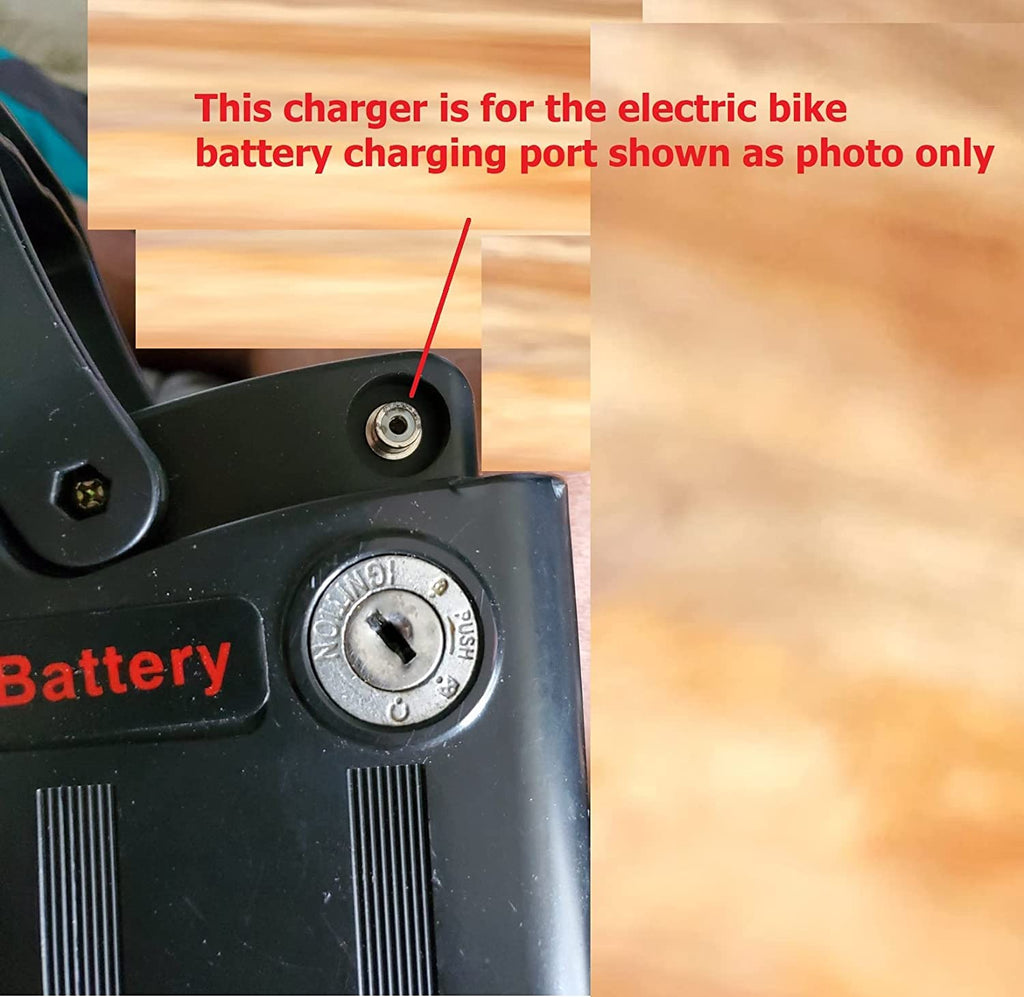 42V 2A Fast Charger T4264