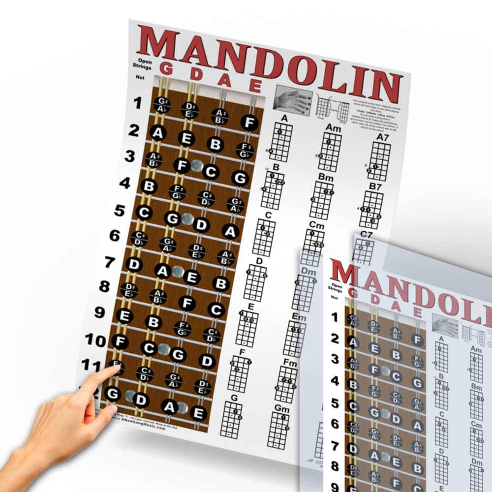 Mandolin Chord Chart Poster Laminated 11x17 V12044