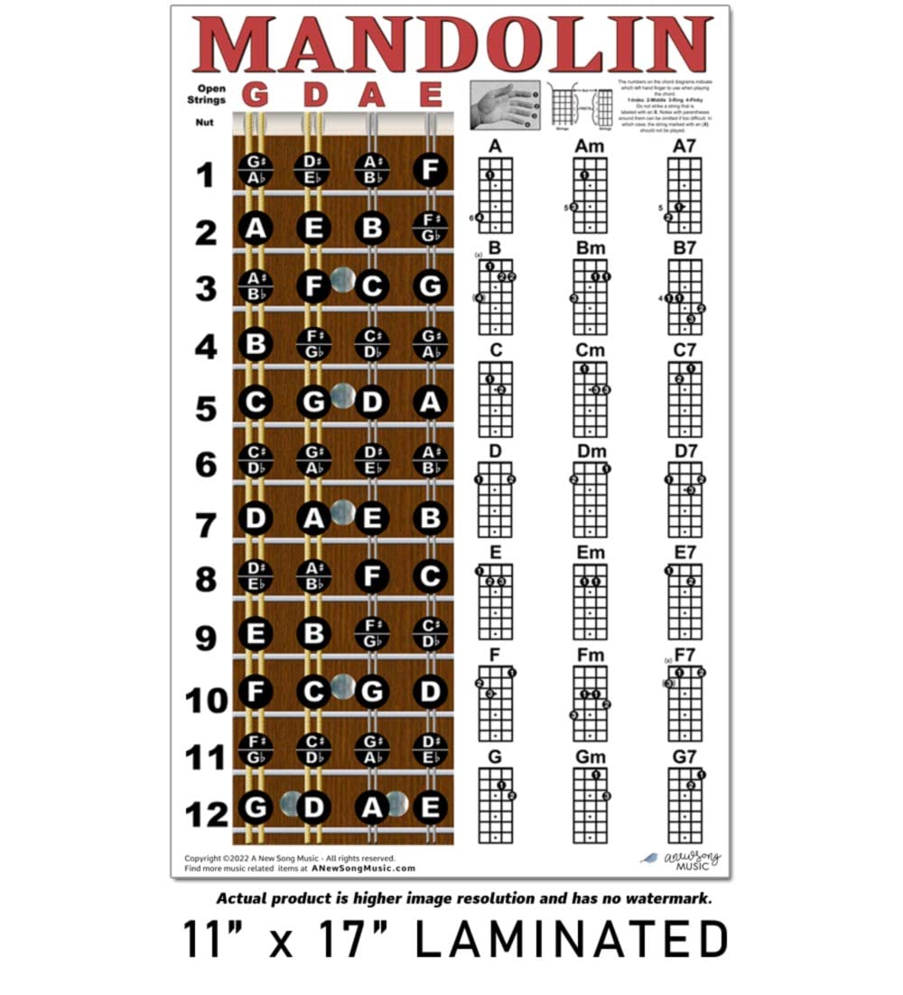 Mandolin Chord Chart Poster Laminated 11x17 V12044