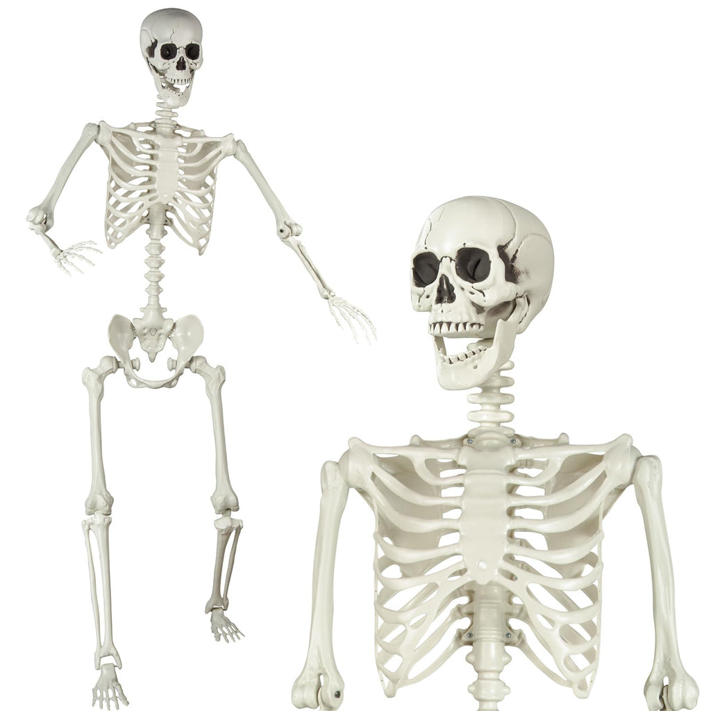 5.4ft Posable Skeleton N255