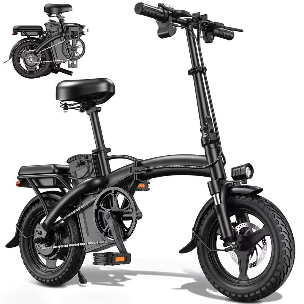 Folding Electric Bike R8029