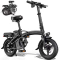 Folding Electric Bike R8029