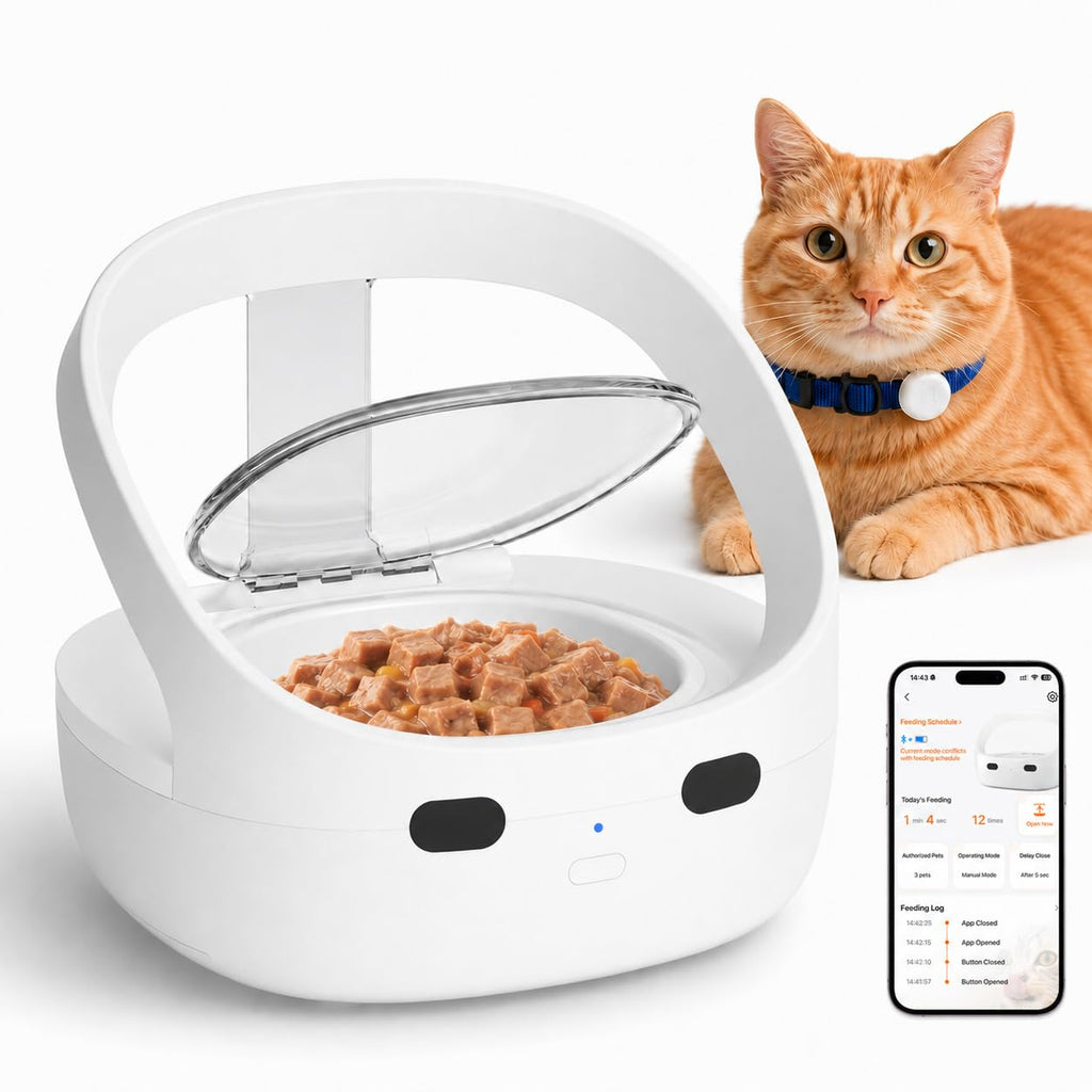 Wet & Dry Food Cat Feeder D6757