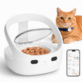 Wet & Dry Food Cat Feeder D6757