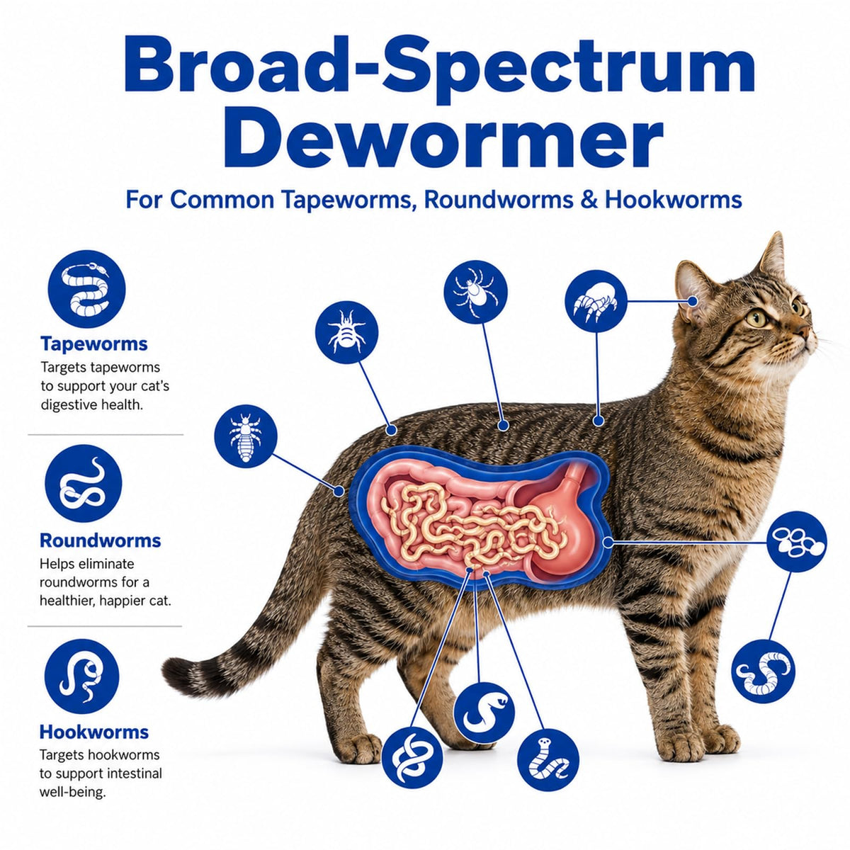 Cat and Kitten Dewormer 100 Tablets V9263