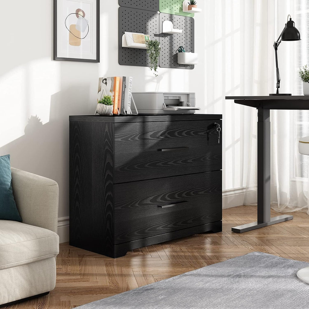 Black 2 Drawer Lateral File Cabinet with Lock P5641