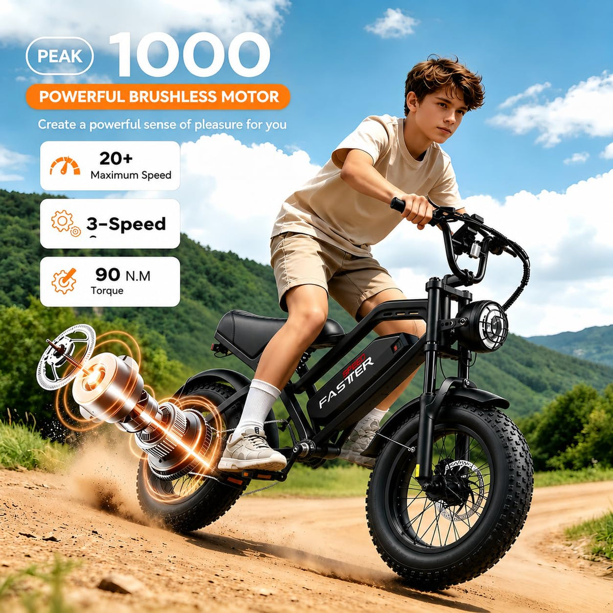 1000W 48V 16Ah Fat Tire Electric Bike Z829