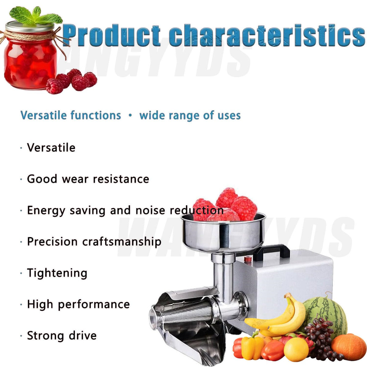 450W Electric Tomato Strainer Stainless Steel B647219