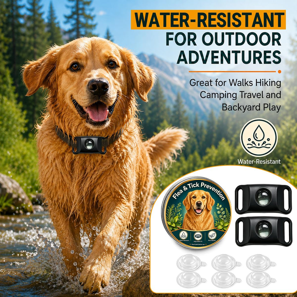 Flea and Tick Prevention Pendant for Dogs O5997