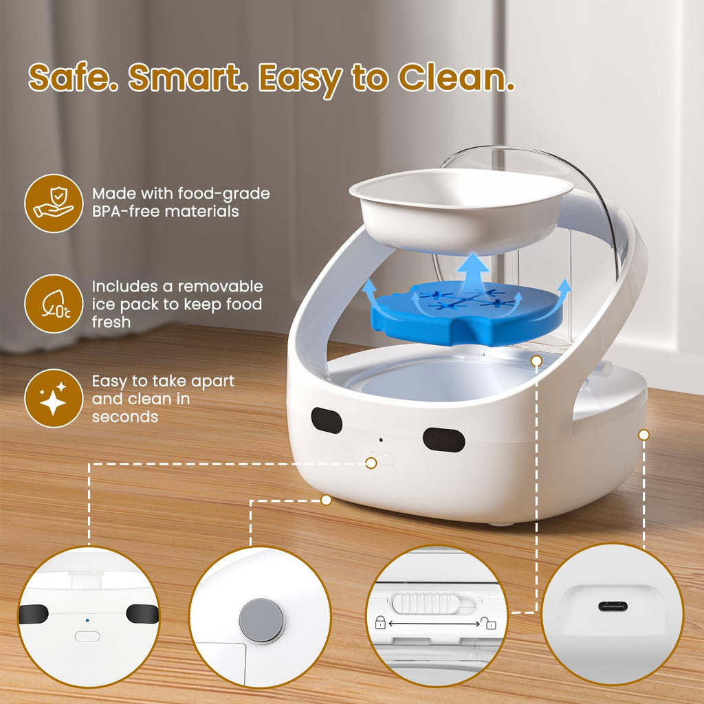 Wet & Dry Food Cat Feeder D6757