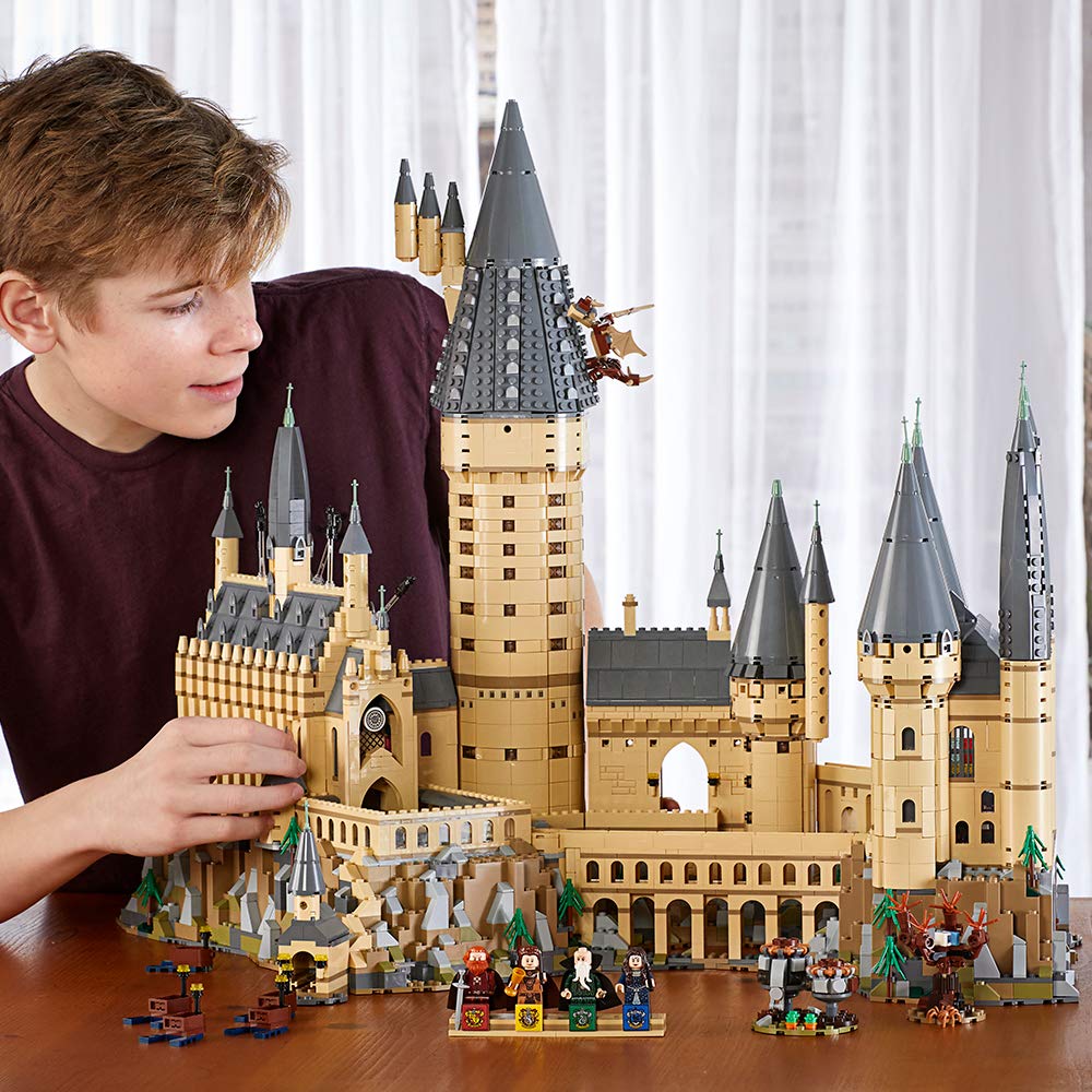 Building Set with Minifigures N78408
