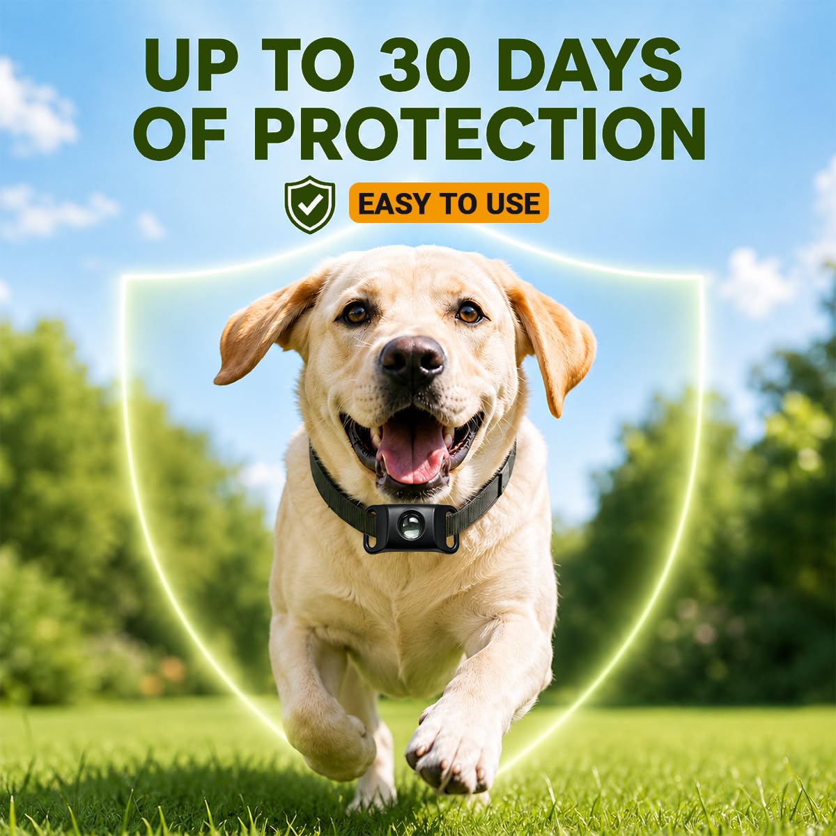 Flea and Tick Prevention Pendant for Dogs O5997