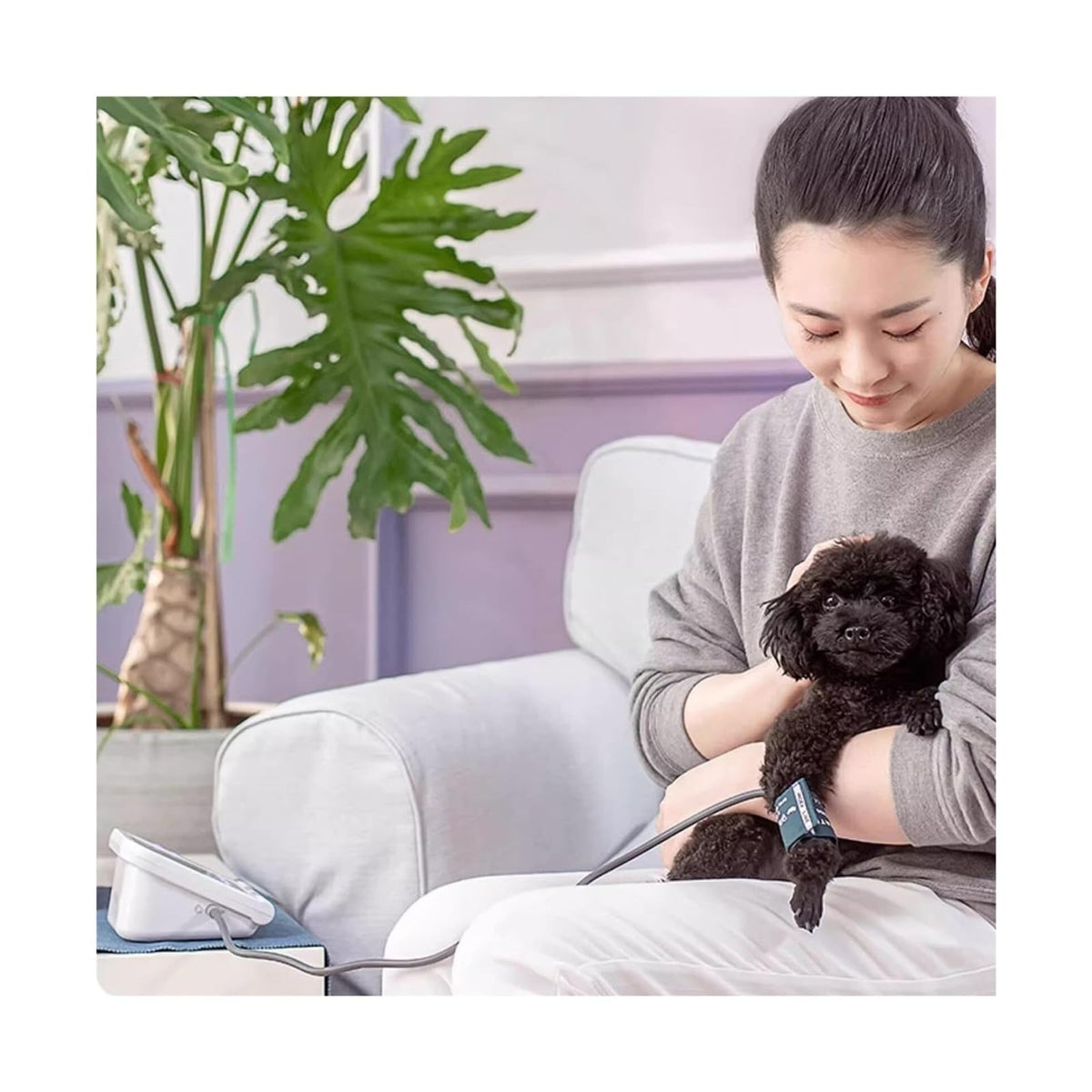 Pet Blood Pressure Monitor U14881