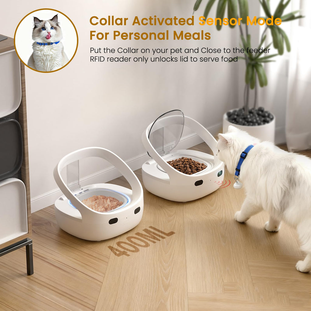 Wet & Dry Food Cat Feeder D6757