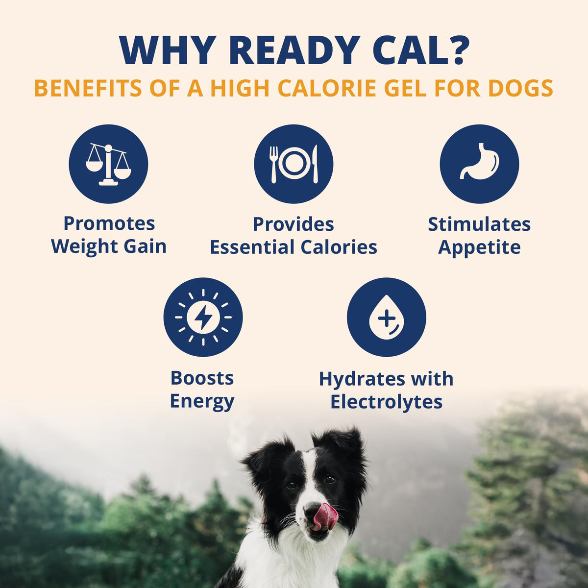 Electrolytes Gel for Dogs 3.5 Oz Tube S70541