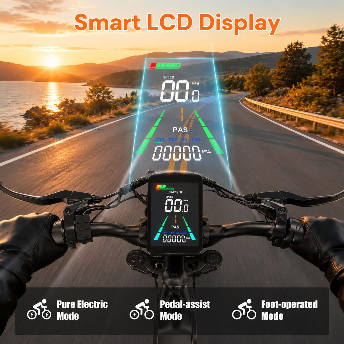 1000W 48V 16Ah Fat Tire Electric Bike Z829