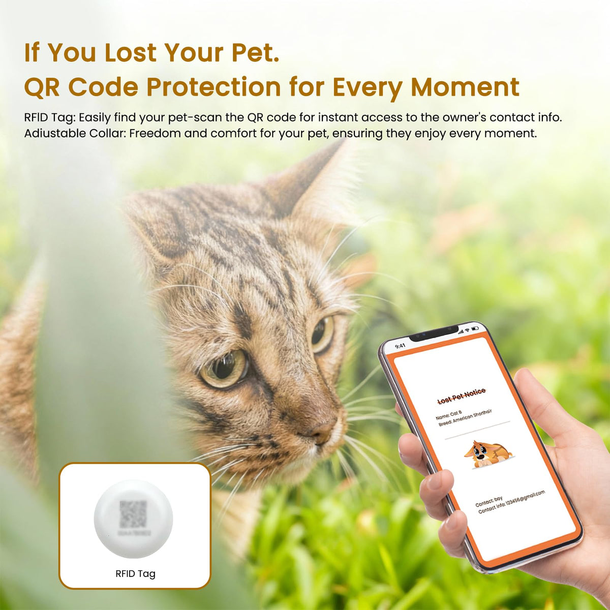 Wet & Dry Food Cat Feeder D6757
