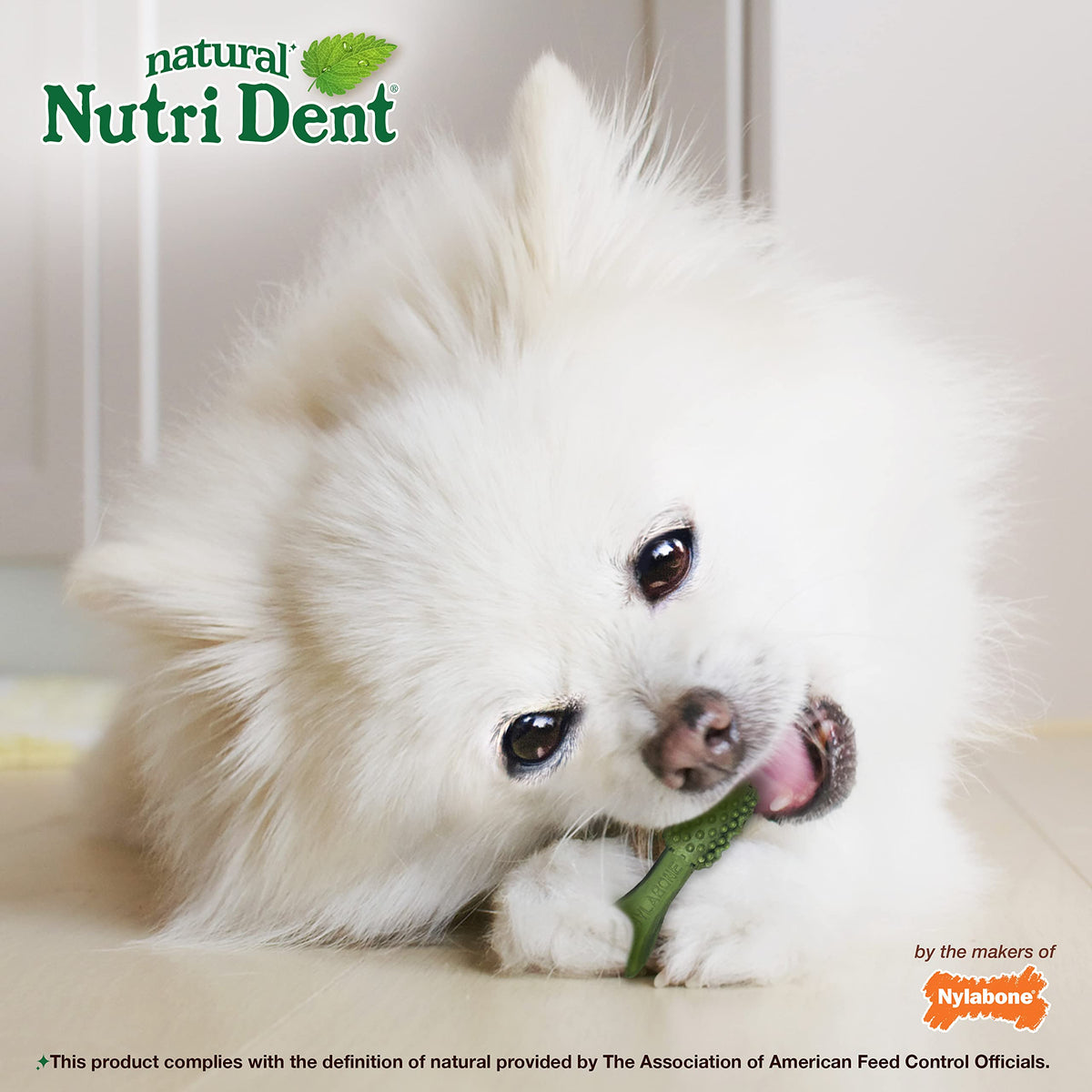 Natural Dog Dental Chews Mini 32 Count I63872