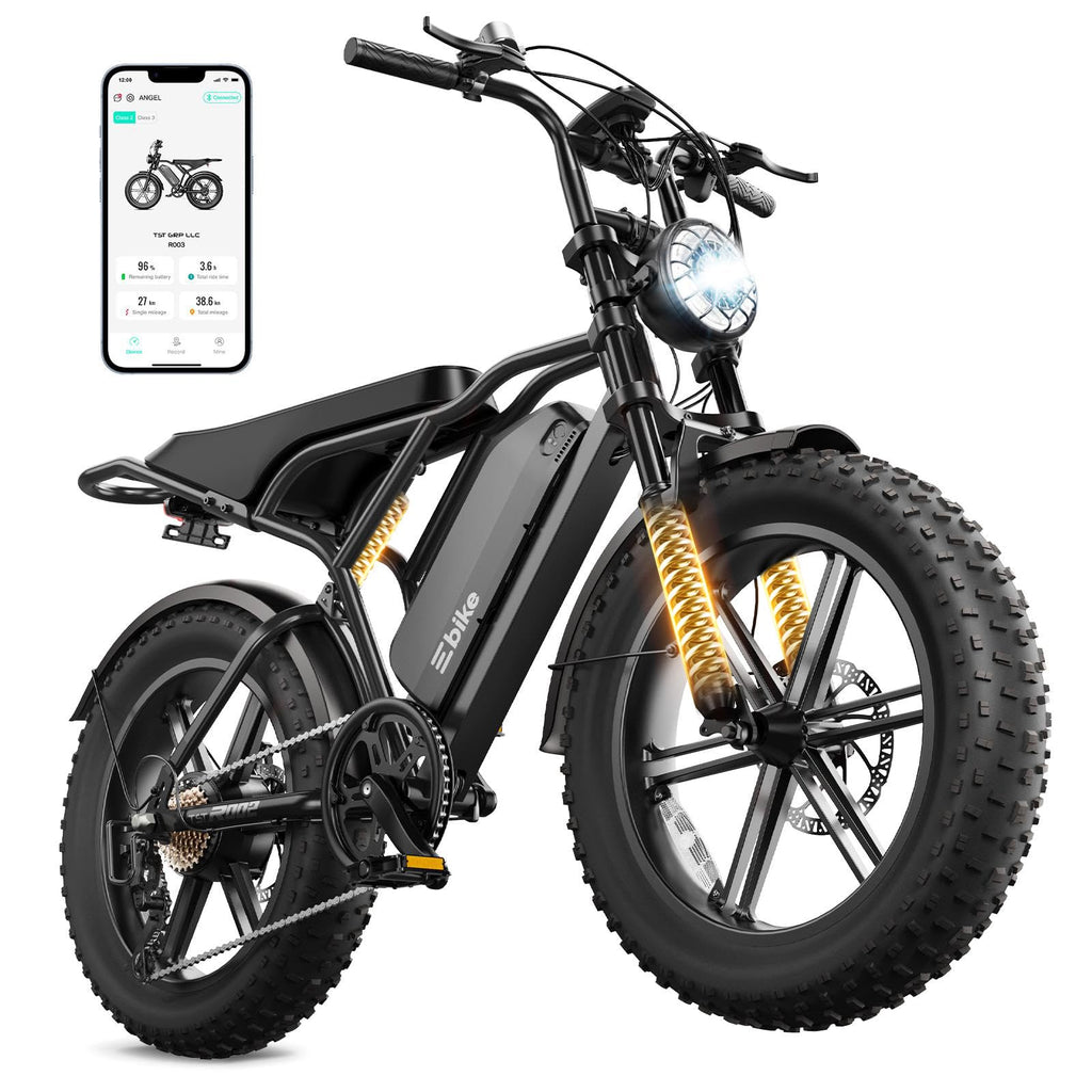 Electric Bike for Adults U286