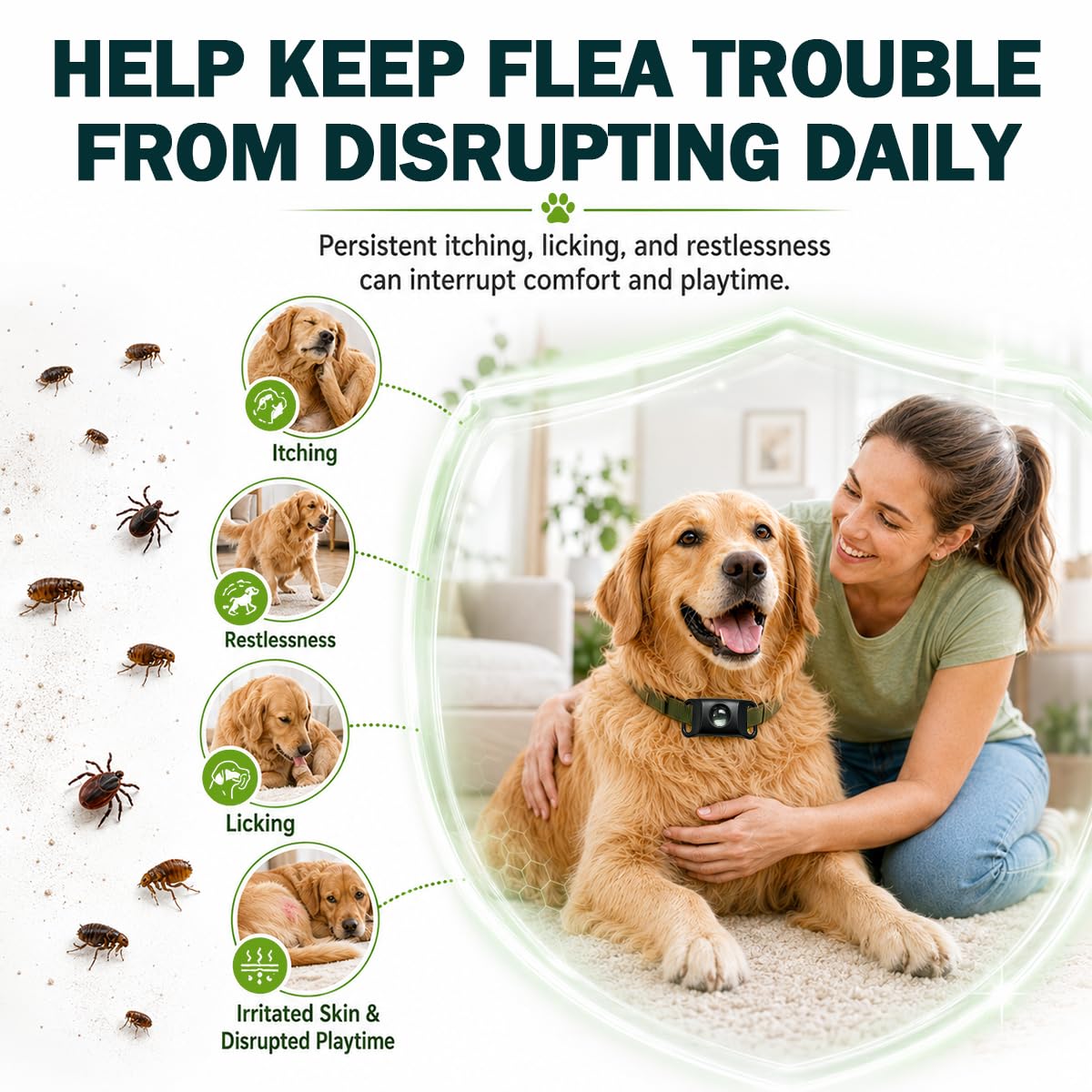 Flea and Tick Prevention Pendant for Dogs O5997