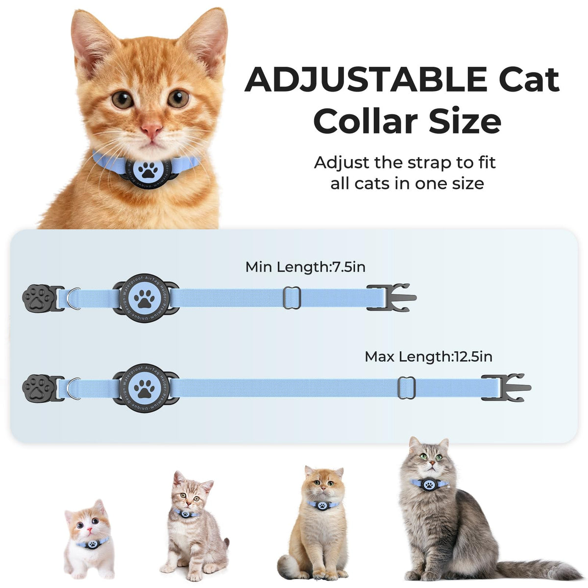 GPS Tracking Collar Blue 2P O420555