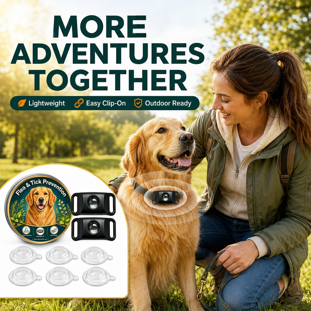 Flea and Tick Prevention Pendant for Dogs O5997