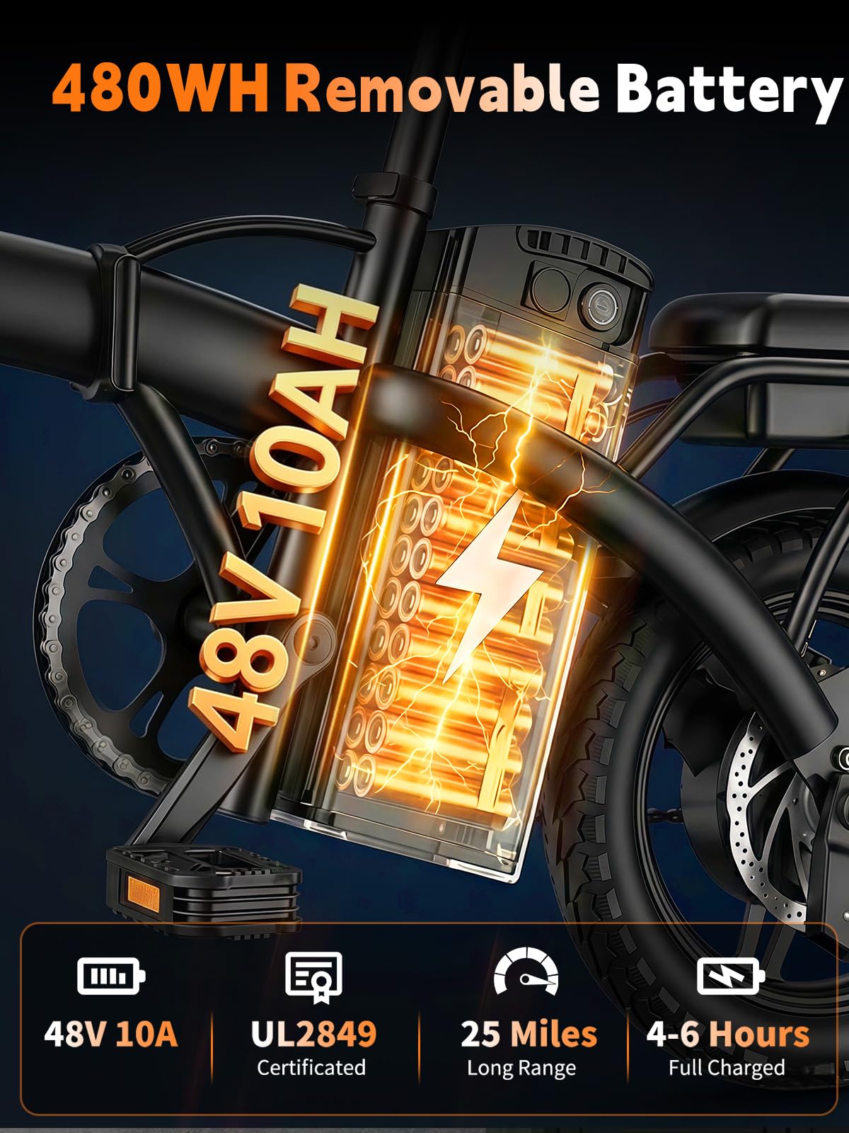 Folding Electric Bike R8029