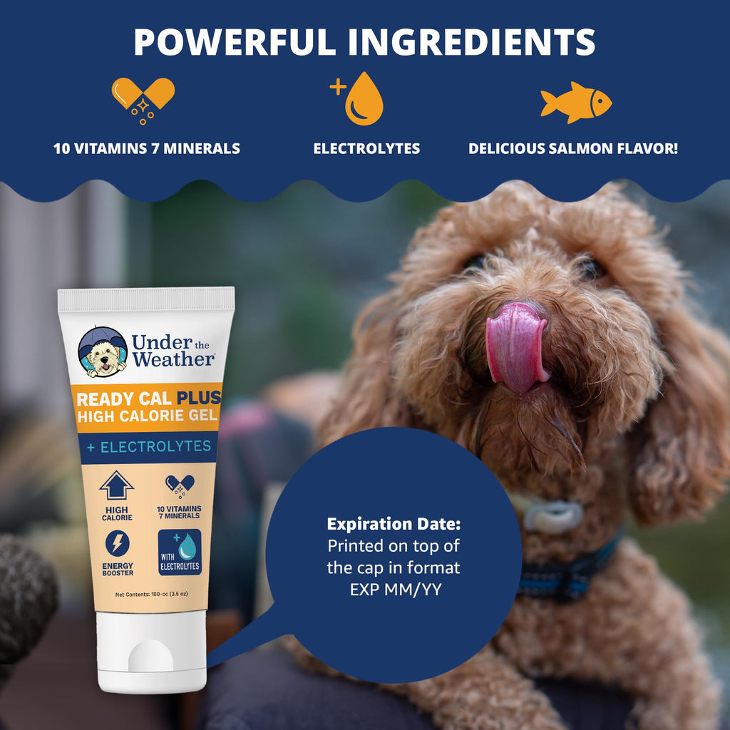 Electrolytes Gel for Dogs 3.5 Oz Tube S70541