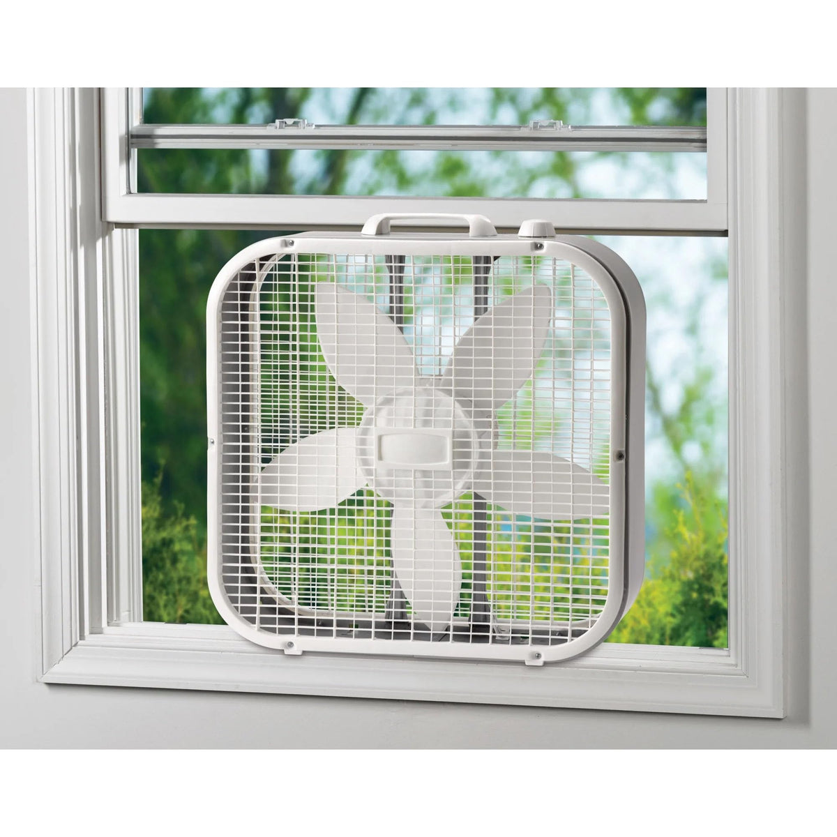 20" Classic Box Fan, 3 Speeds, White T507837