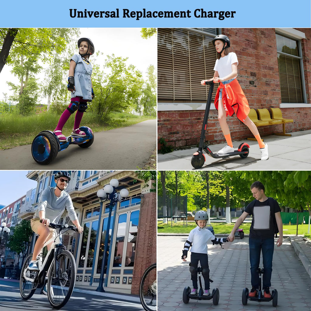 42V 2A Electric Scooter Charger with 4 Plugs C9216