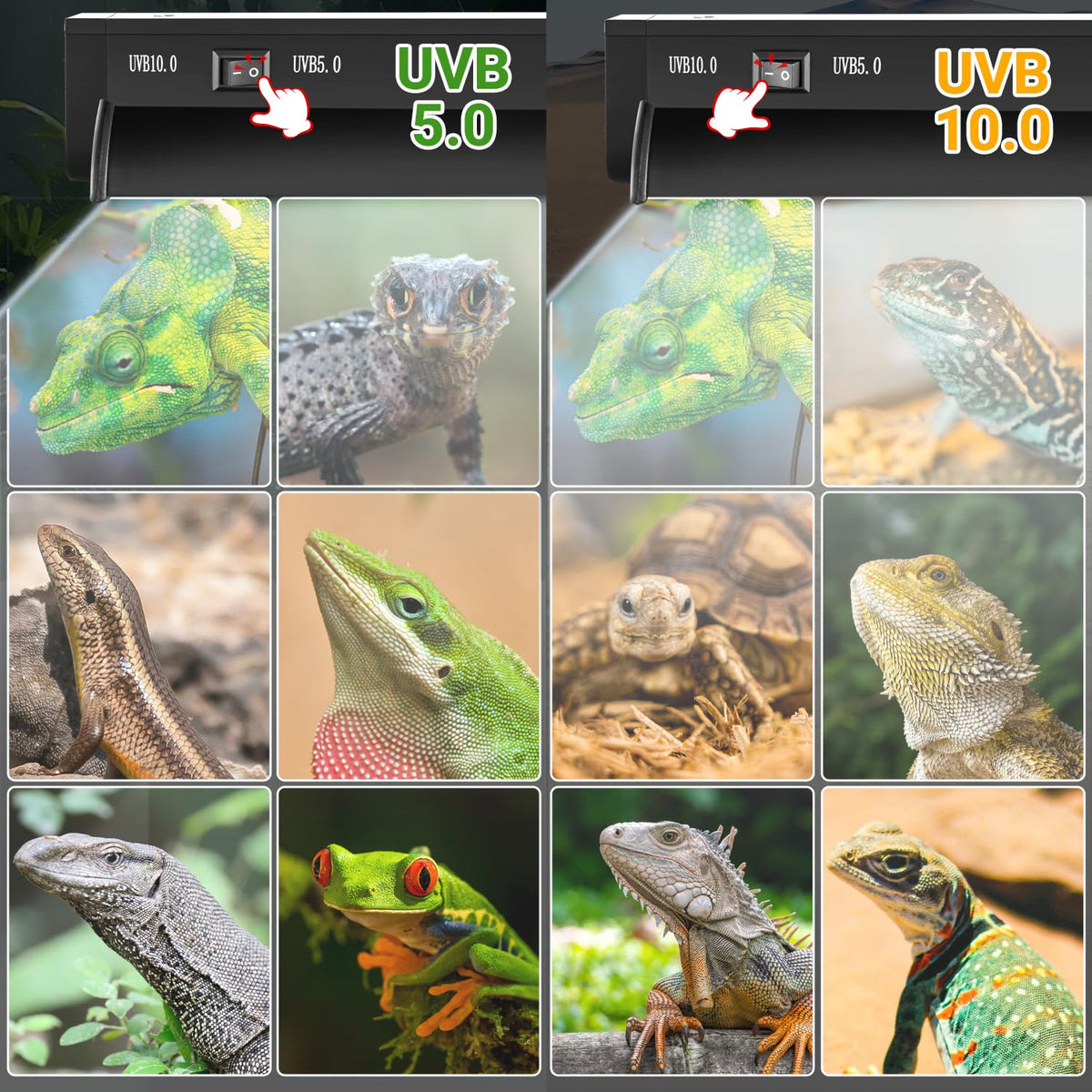 24W T5 UVB Reptile Light Combo Kit X625