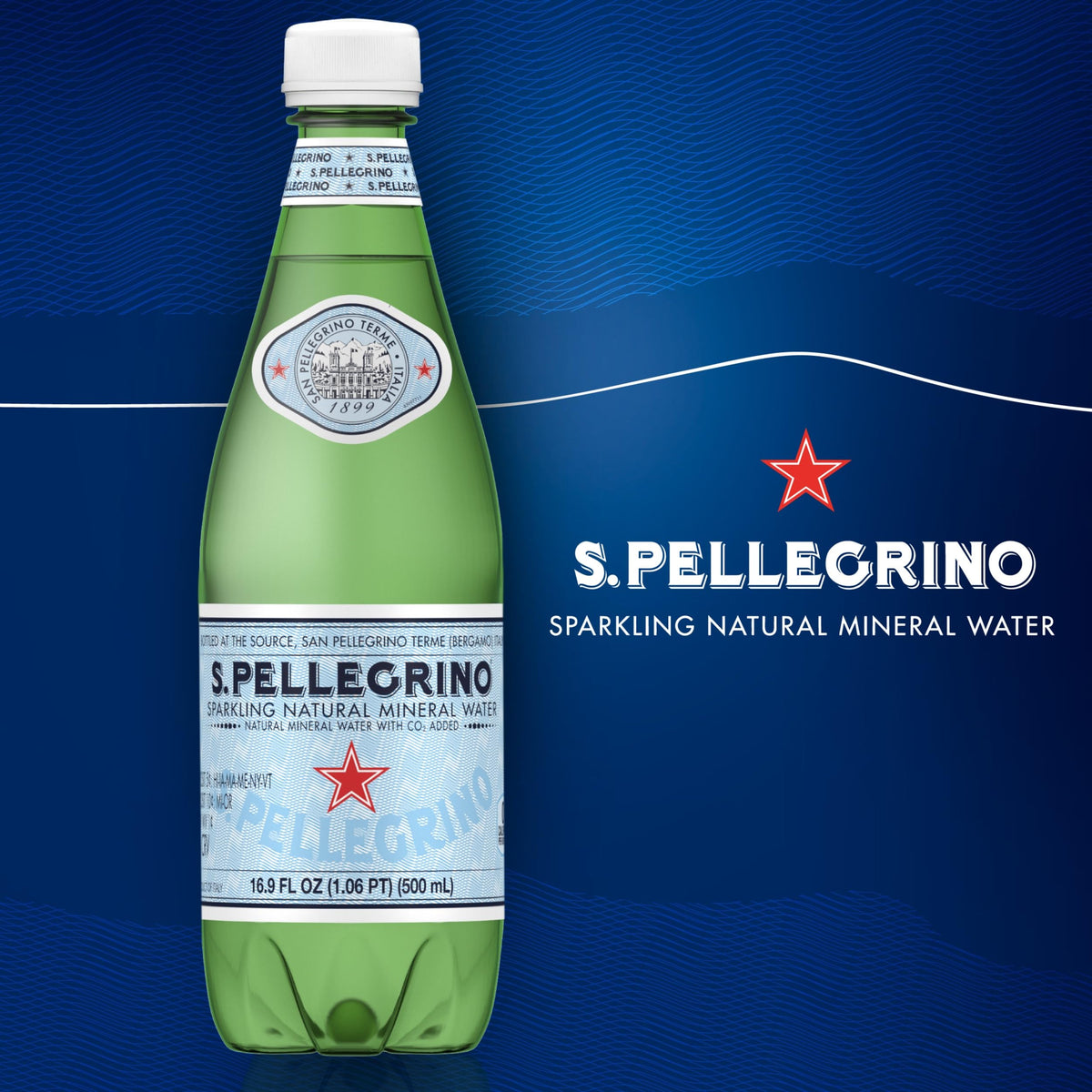 Sparkling Natural Mineral Water 16.9 Fl Oz Pack of 12 E805