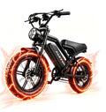 1000W 48V 16Ah Fat Tire Electric Bike Z829