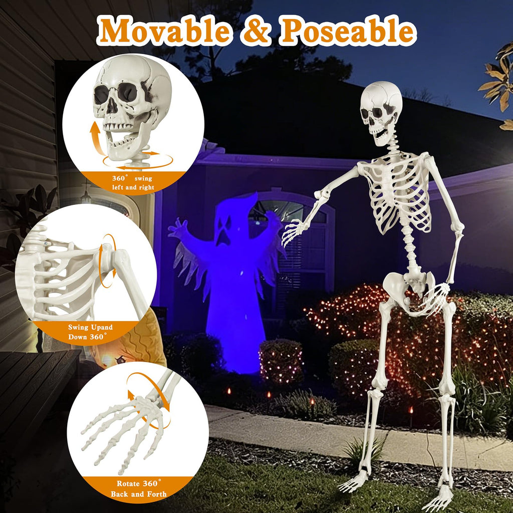 5.4ft Posable Skeleton N255