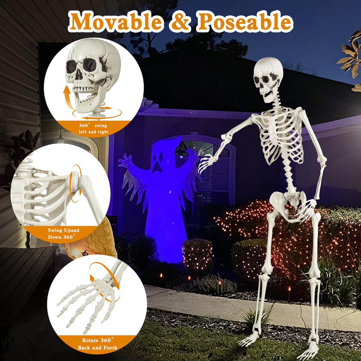 5.4ft Posable Skeleton N255