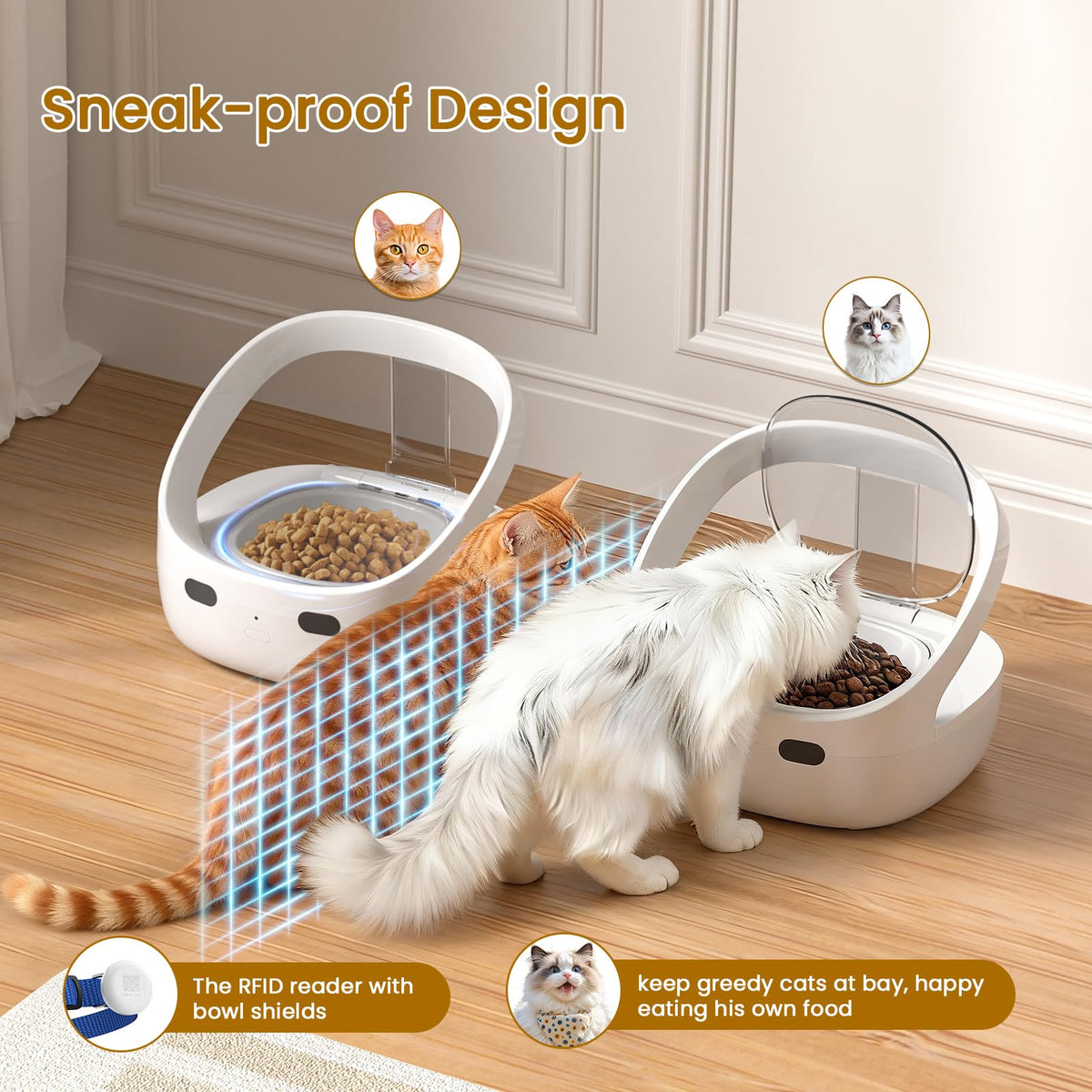 Wet & Dry Food Cat Feeder D6757