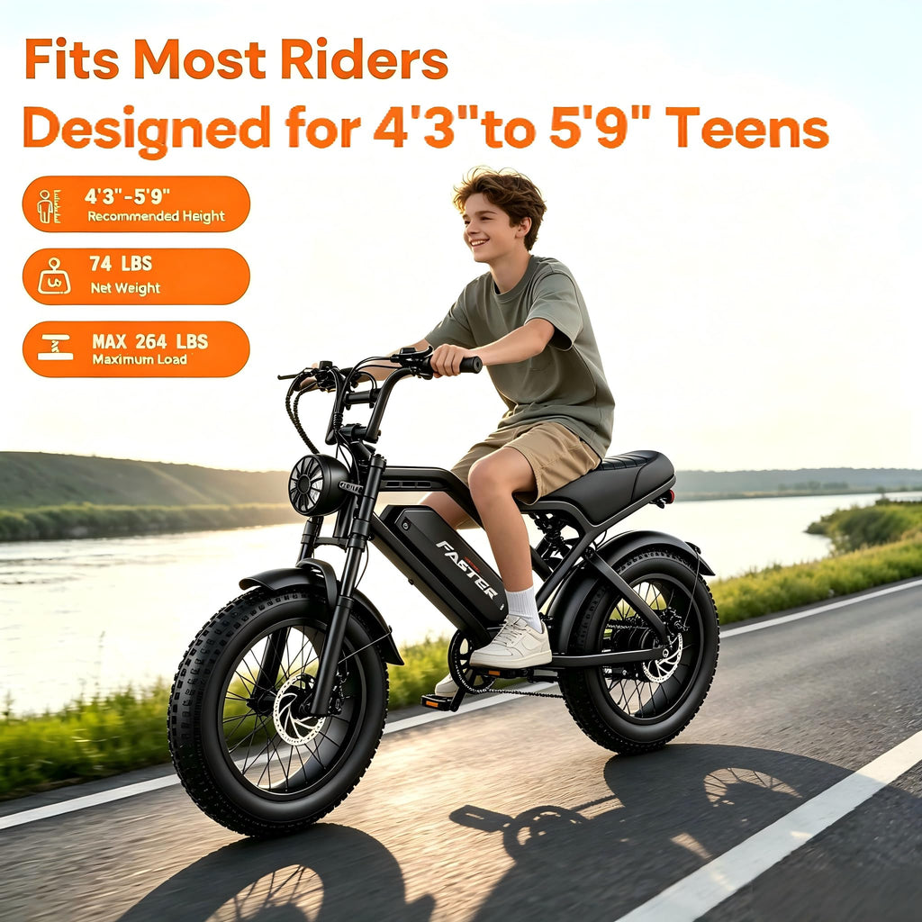 1000W 48V 16Ah Fat Tire Electric Bike Z829