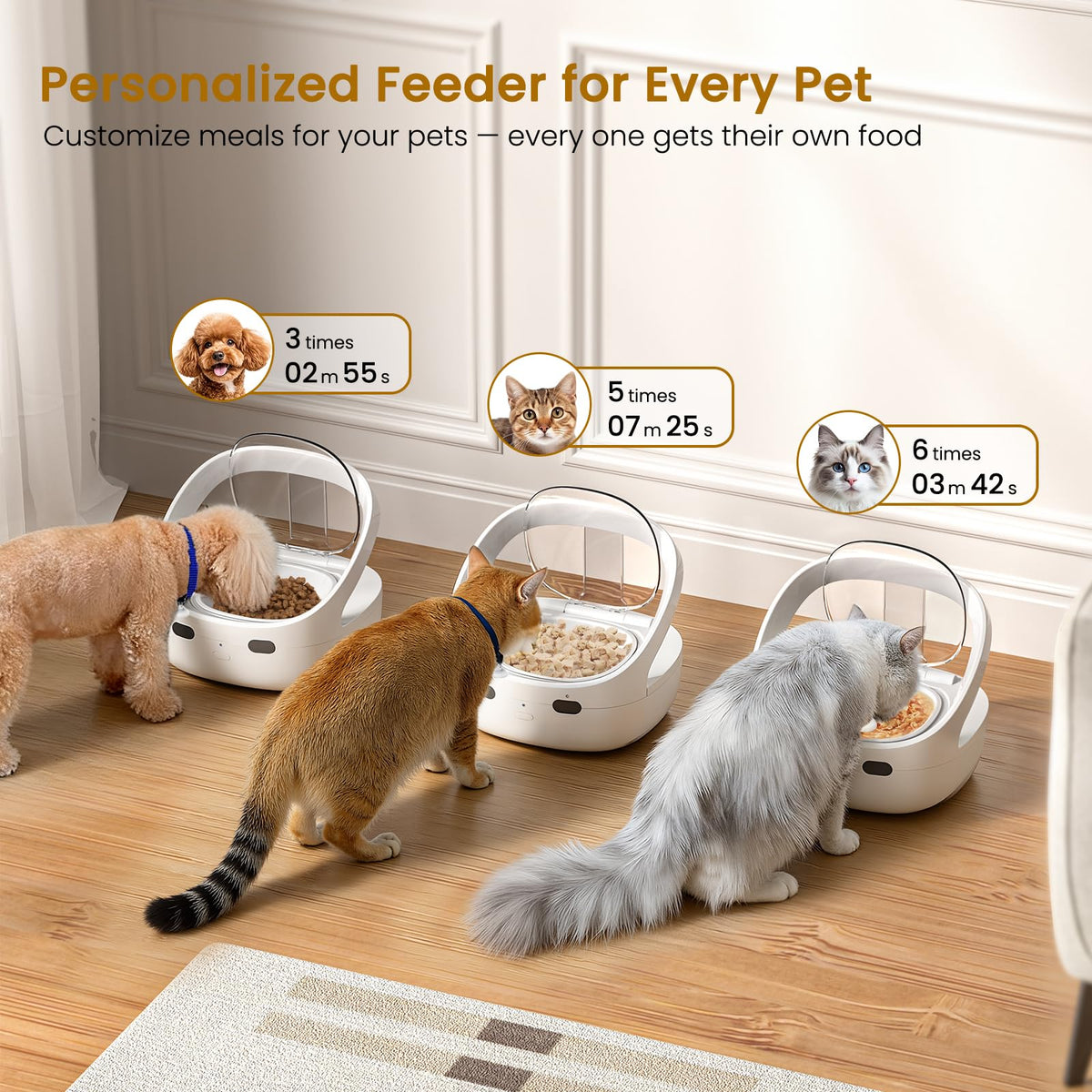Wet & Dry Food Cat Feeder D6757