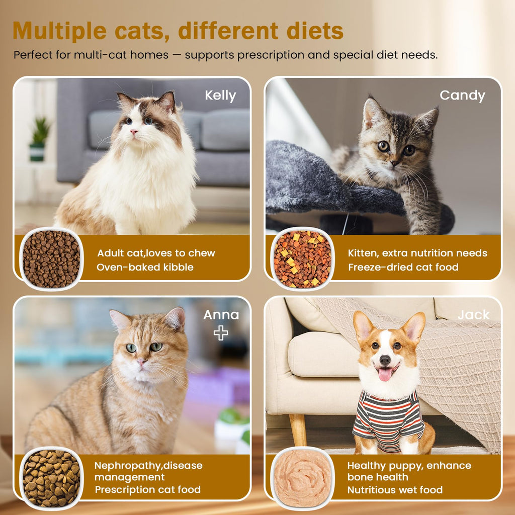 Wet & Dry Food Cat Feeder D6757