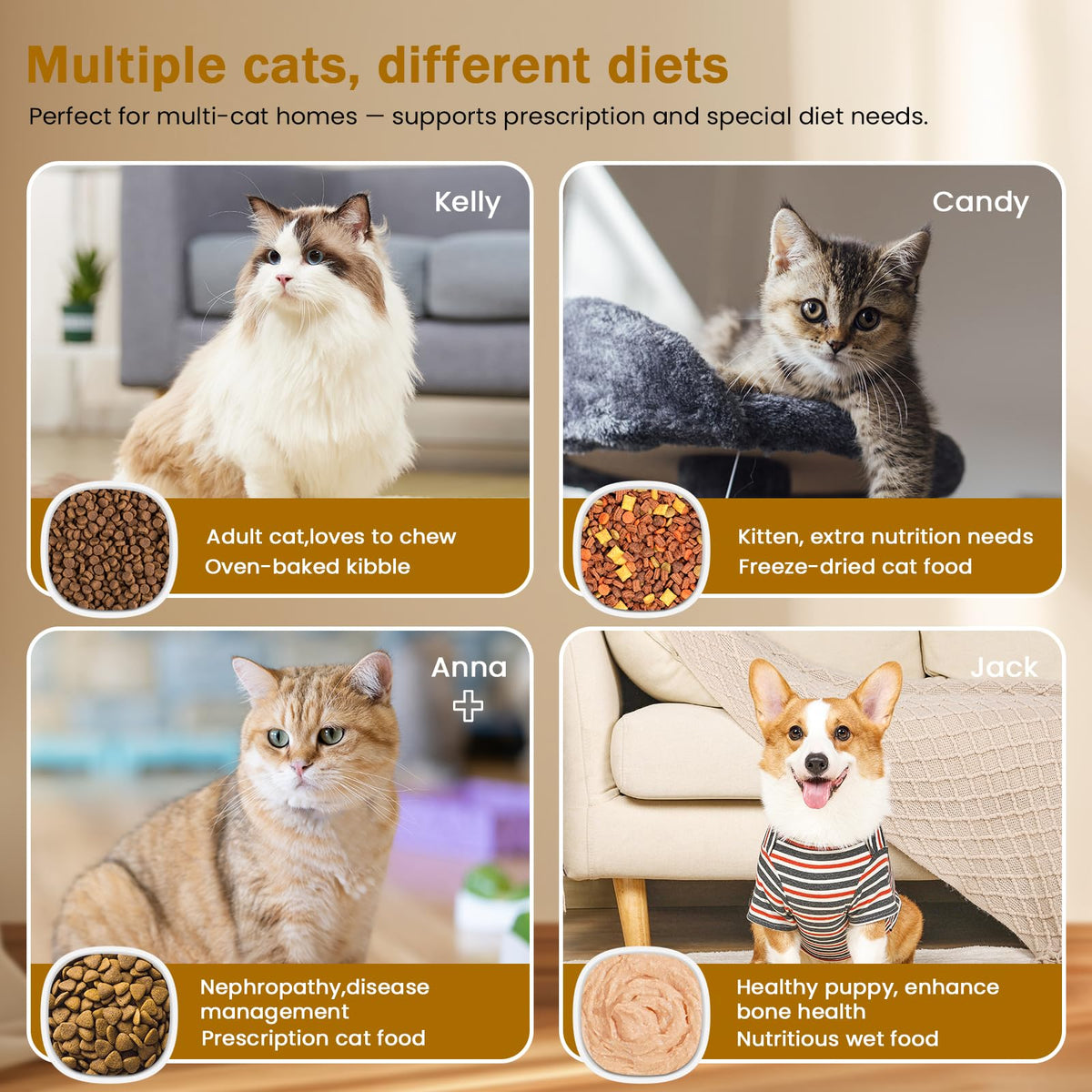 Wet & Dry Food Cat Feeder D6757