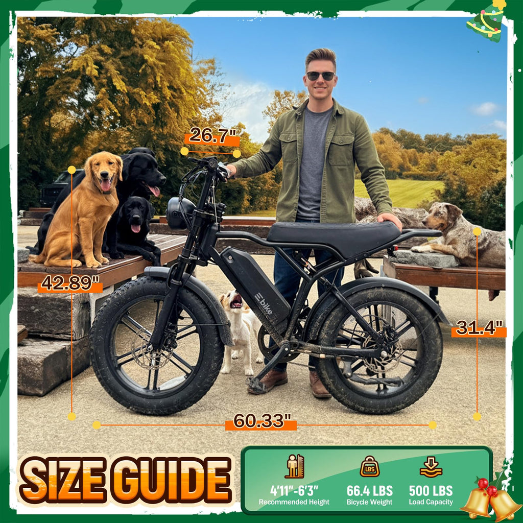 Electric Bike for Adults U286