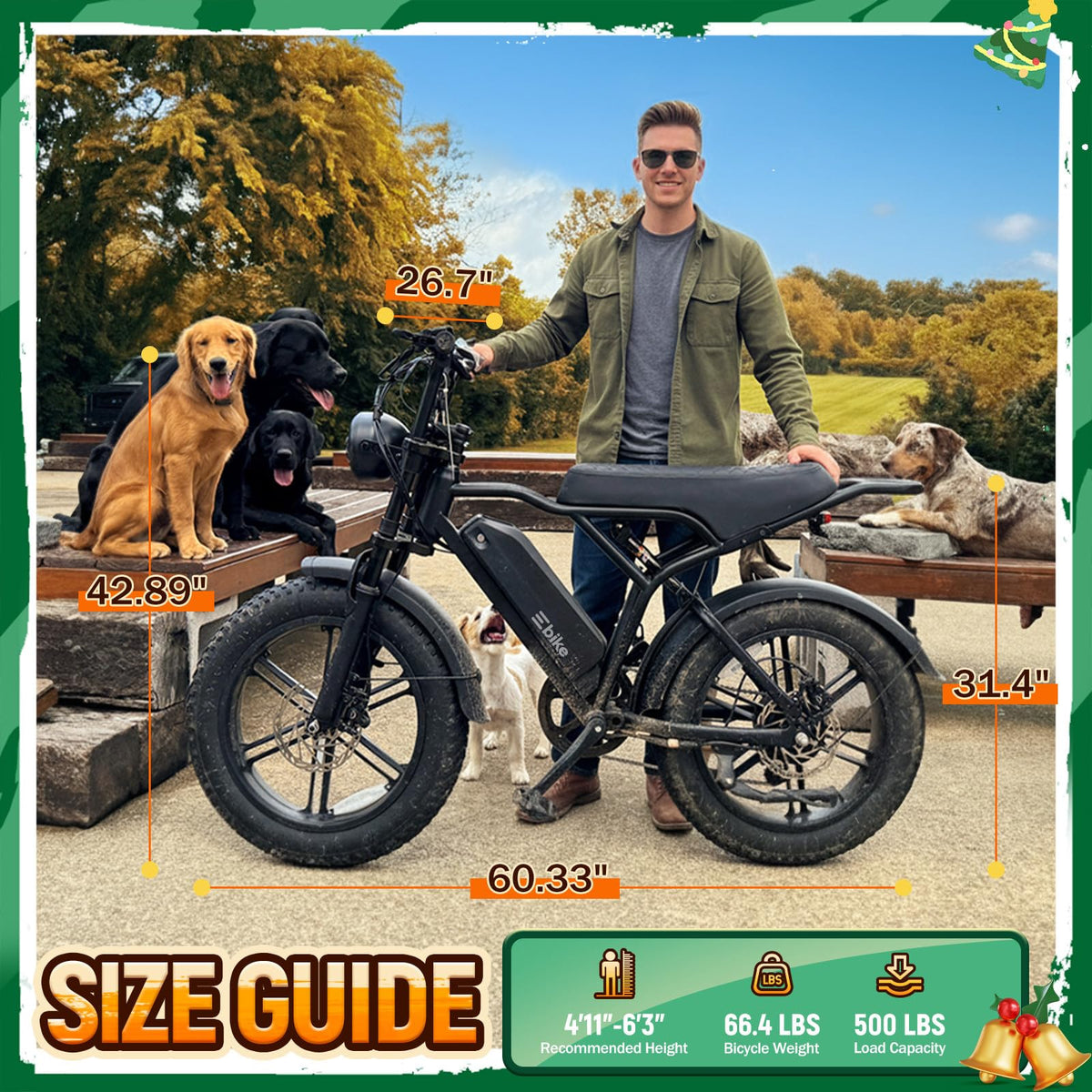 Electric Bike for Adults U286