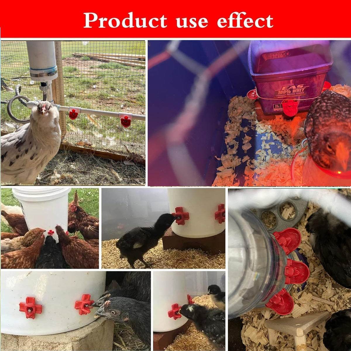 12-Pack Automatic Chicken Water Nipples with Cups A446726