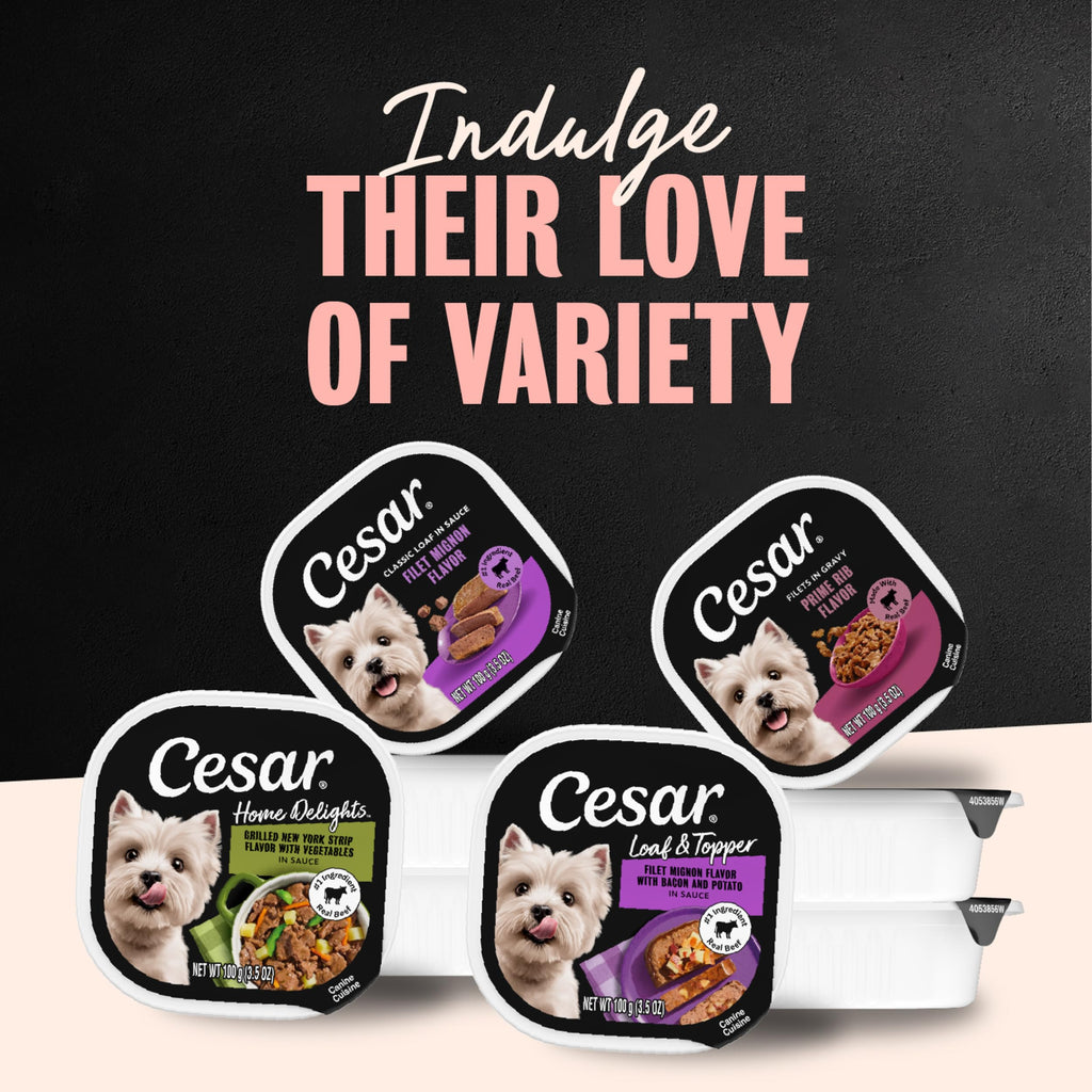 Steak Lovers Variety Pack Wet Dog Food 3.5 oz 36 Count F712