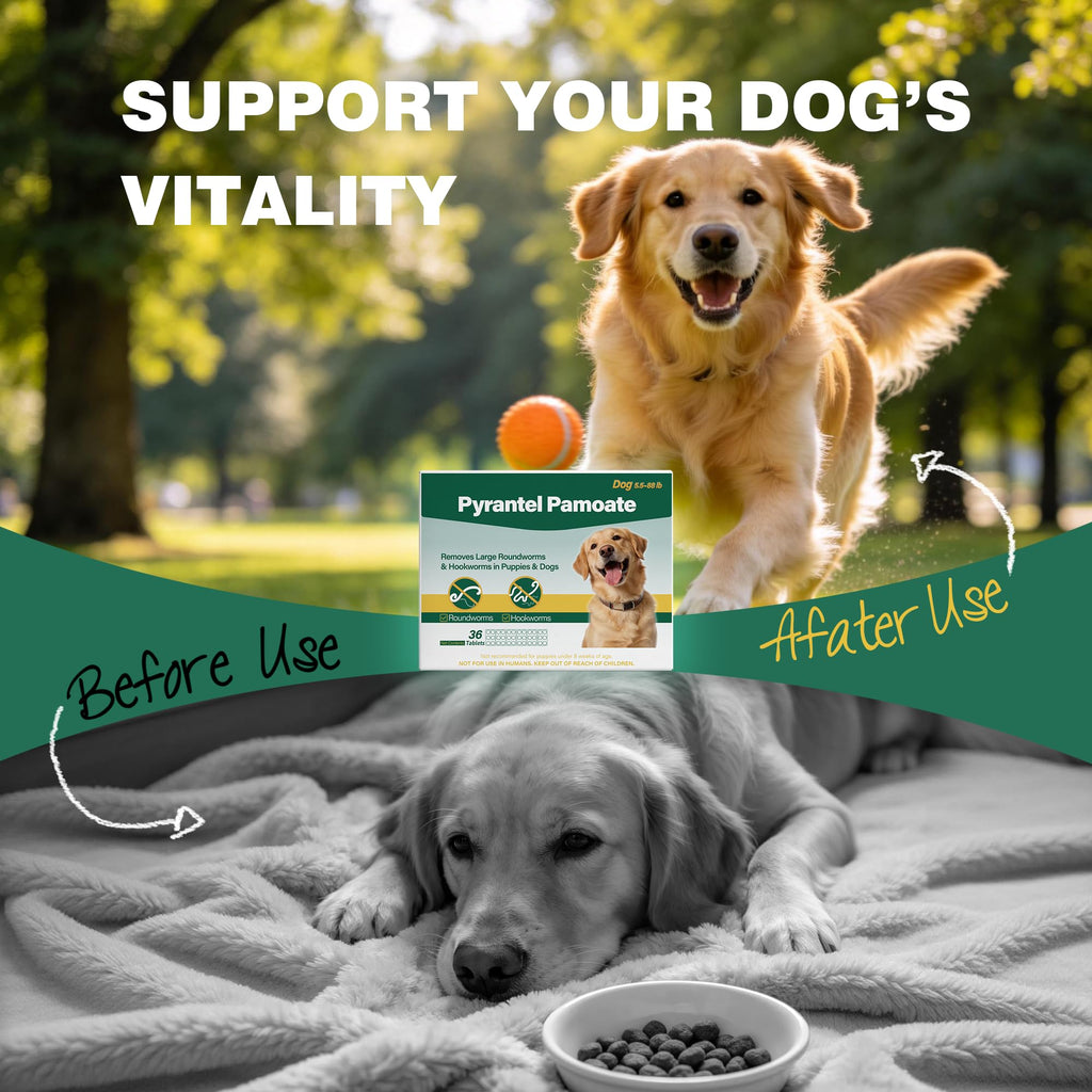 Chewable Pyrantel Pamoate Dog Dewormer 36 Tablets F901